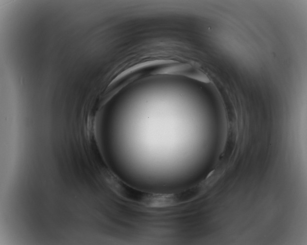 X0000088130093200705211124