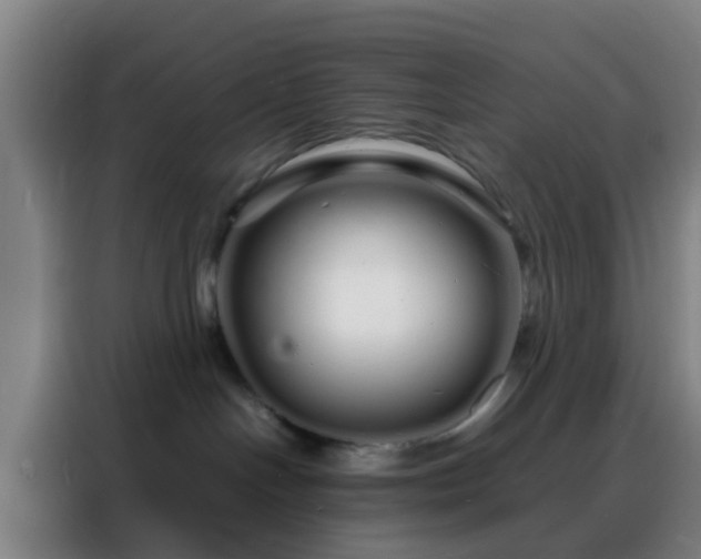 X0000088130094200705211124