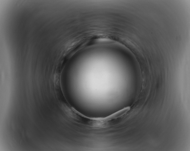 X0000088130096200705211124