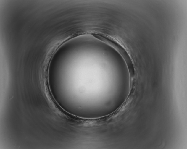 X0000088130097200705211124