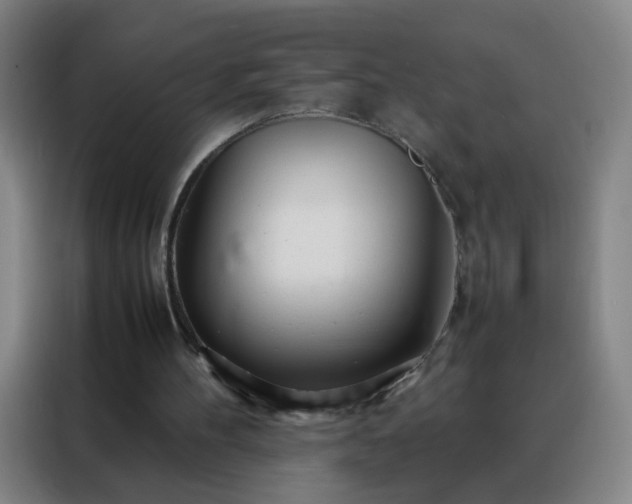 X0000088130100200705211124