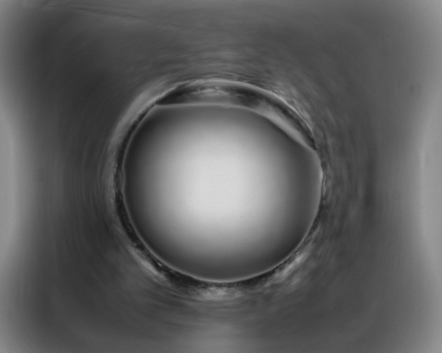 X0000088130101200705211124