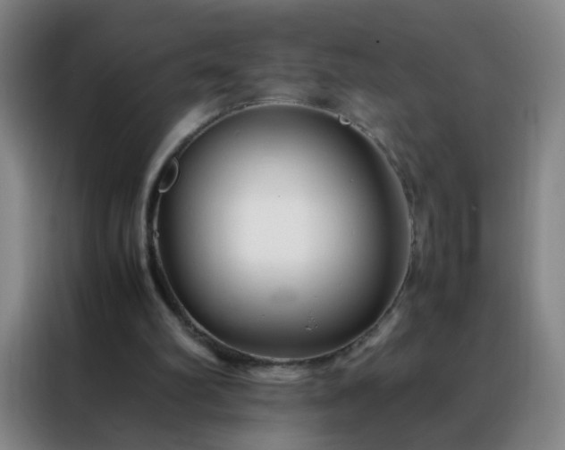 X0000088130102200705211124