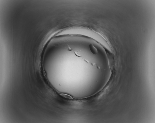 X0000088130103200705211124