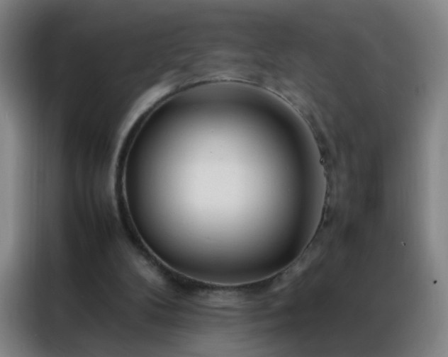 X0000088130104200705211124