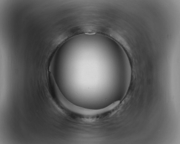 X0000088130105200705211124