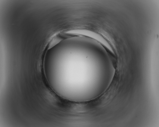 X0000088130107200705211123