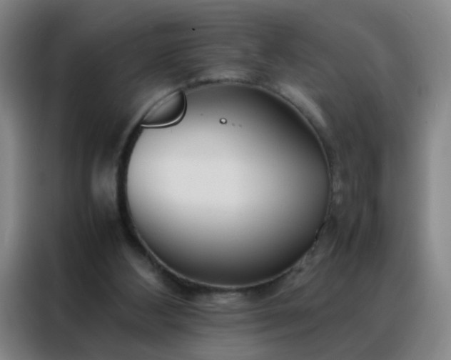 X0000088130108200705211123