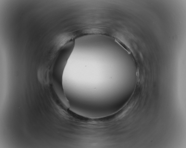 X0000088130109200705211123