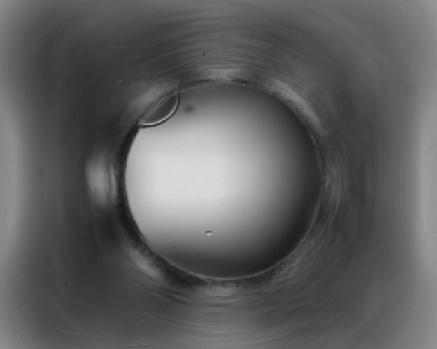 X0000088130110200705211123