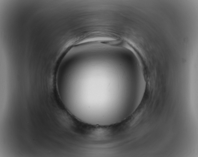 X0000088130111200705211123