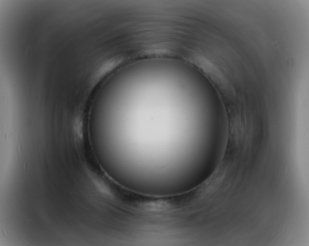 X0000088130112200705211123