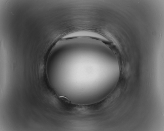 X0000088130113200705211123