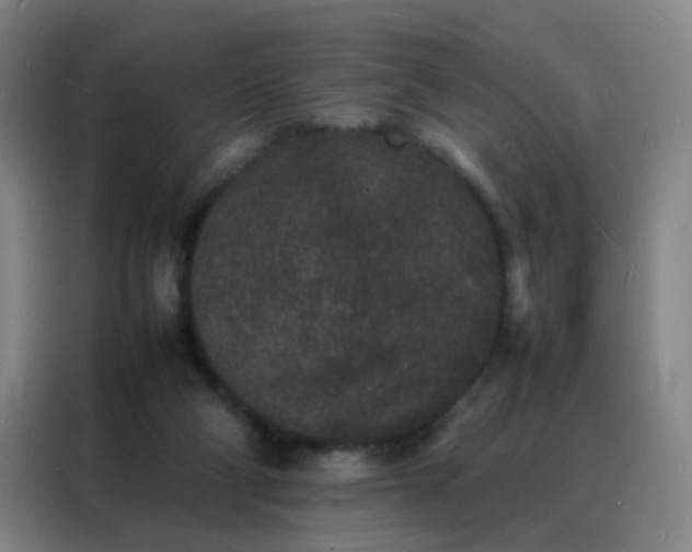 X0000088130114200705211123