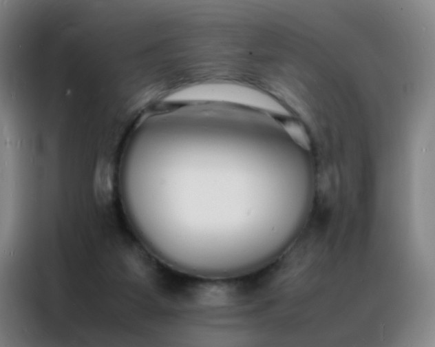 X0000088130115200705211123