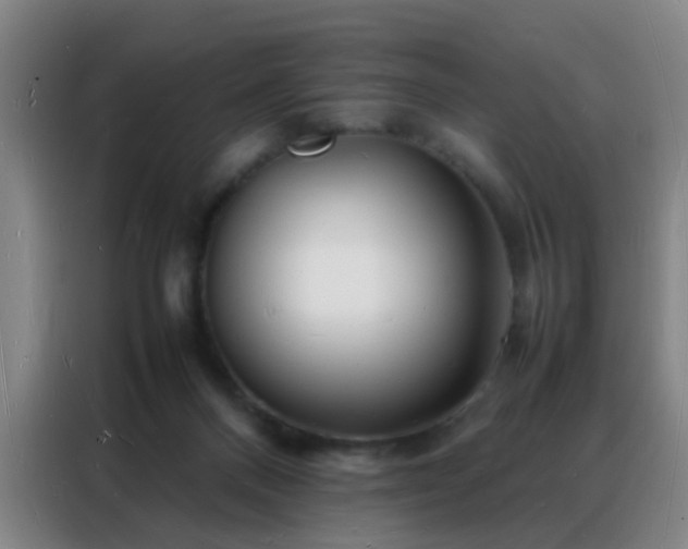 X0000088130120200705211123