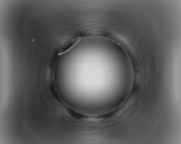 X0000088130121200705211123