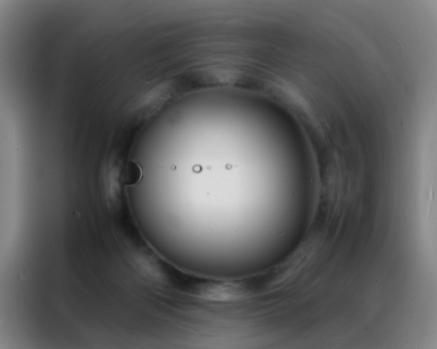 X0000088130122200705211123