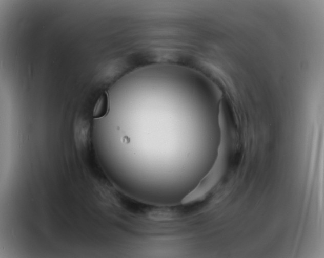 X0000088130123200705211123