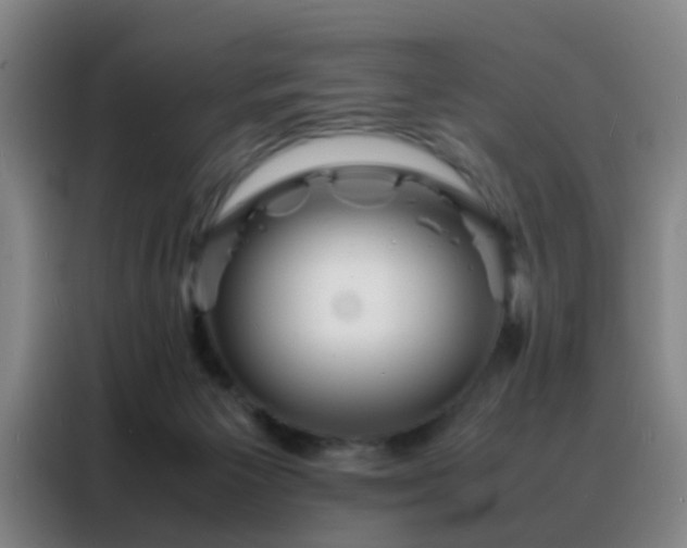 X0000088130125200705211123