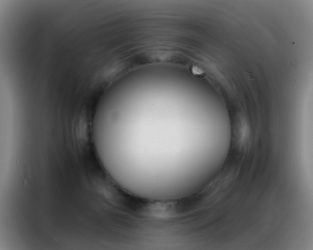 X0000088130126200705211123