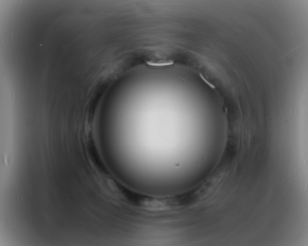 X0000088130129200705211123