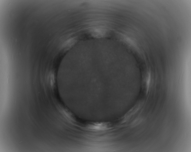 X0000088130130200705211123