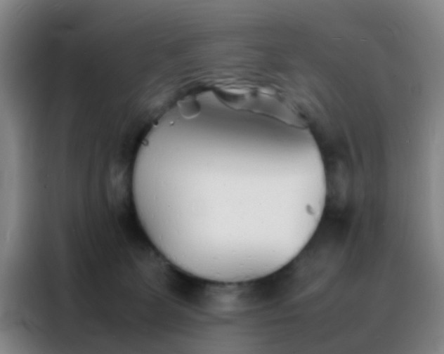 X0000088130131200705211123