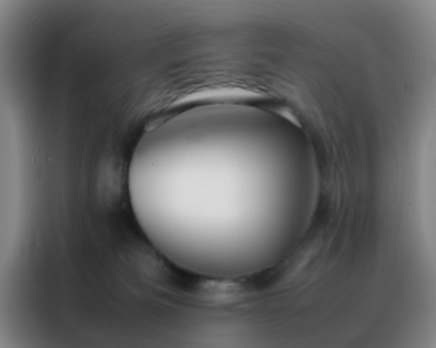 X0000088130133200705211123