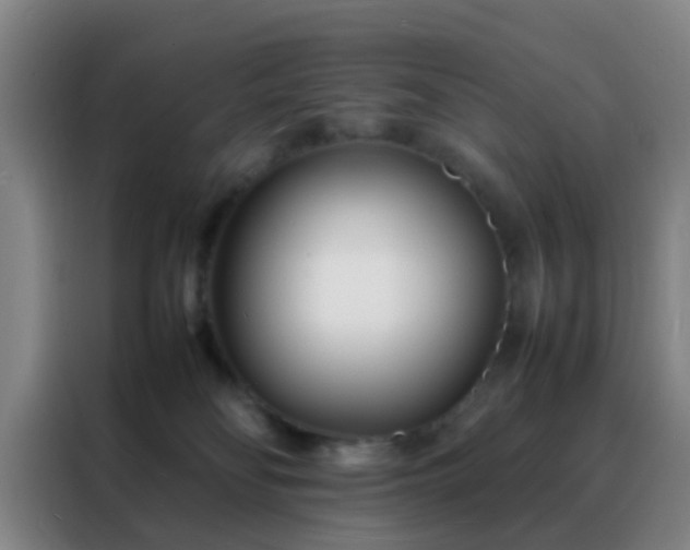 X0000088130134200705211123