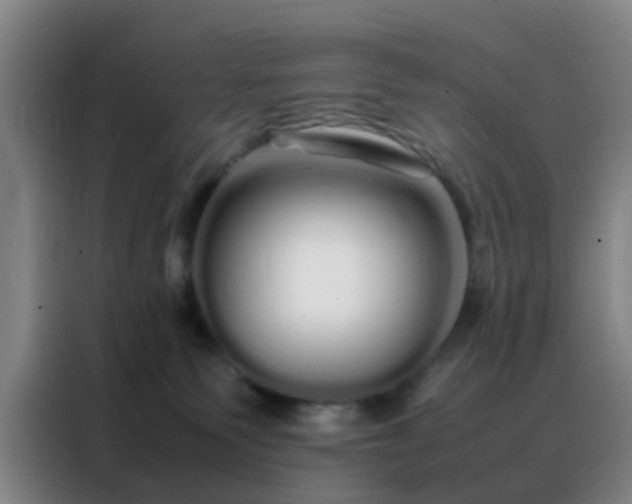 X0000088130135200705211123