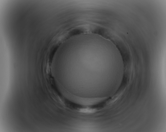 X0000088130137200705211123