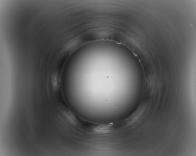 X0000088130138200705211123