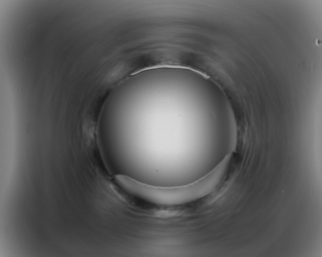 X0000088130141200705211123