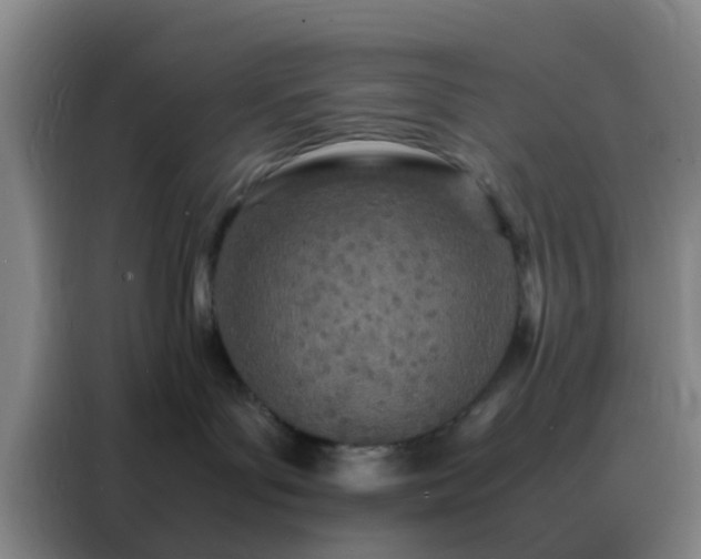 X0000088130143200705211123