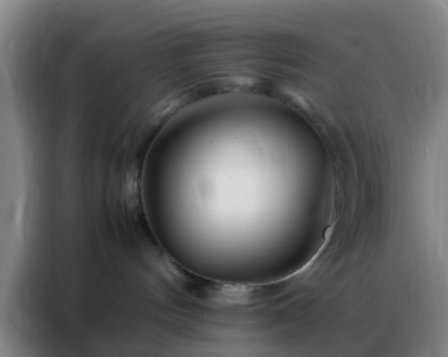 X0000088130144200705211123