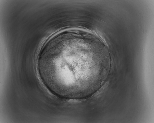 X0000088130145200705211122