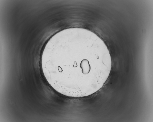 X0000088130146200705211122