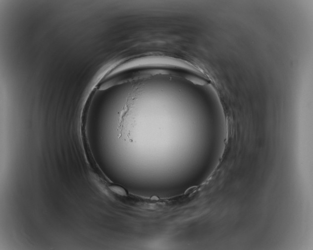 X0000088130147200705211122