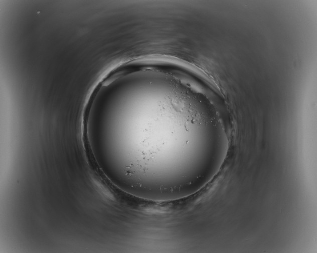 X0000088130148200705211122