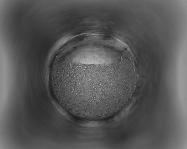 X0000088130149200705211122