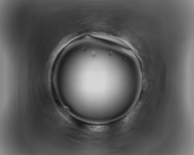 X0000088130151200705211122