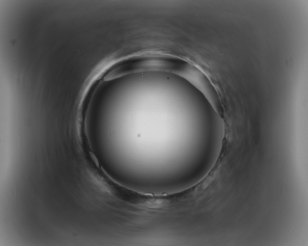 X0000088130152200705211122