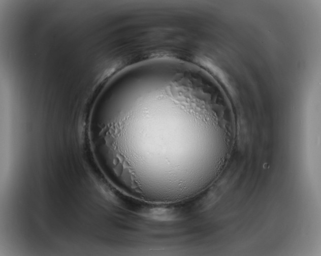 X0000088130153200705211122