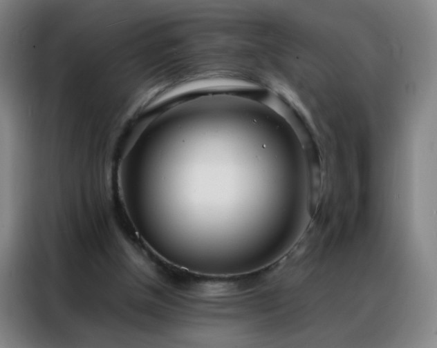 X0000088130154200705211122