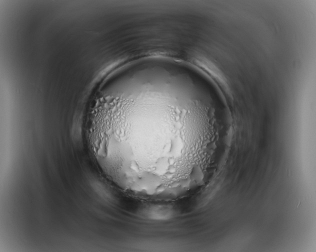 X0000088130155200705211123