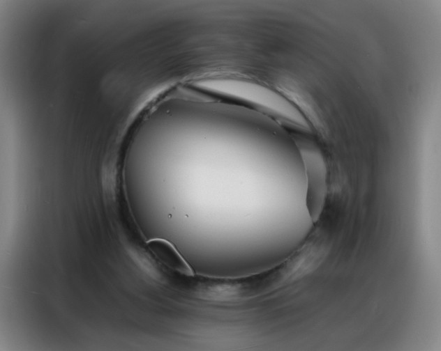 X0000088130156200705211123