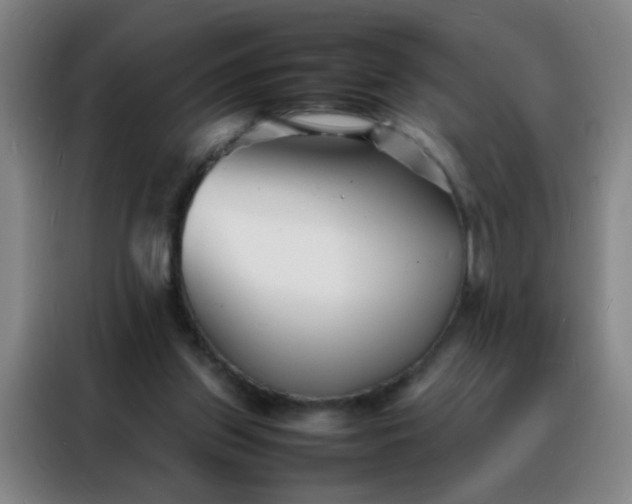 X0000088130157200705211123