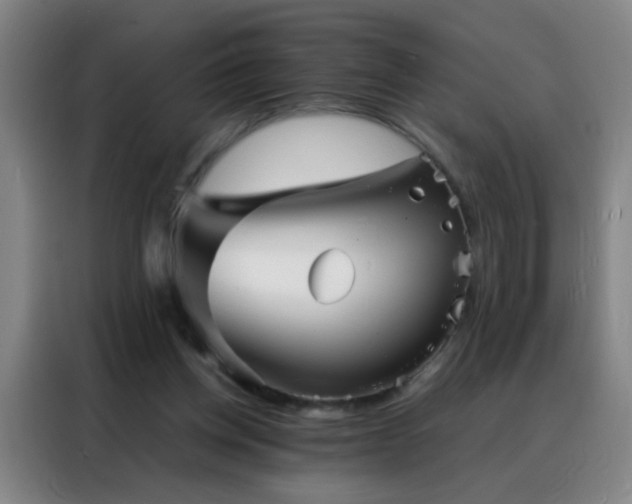 X0000088130158200705211123