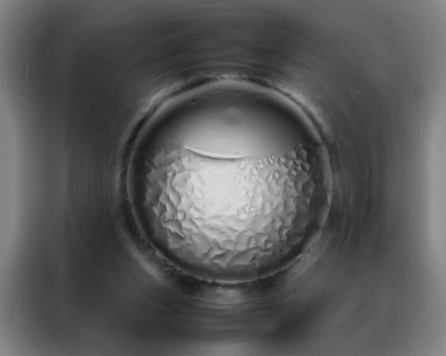 X0000088130159200705211123